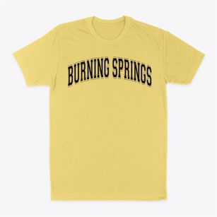 Burning Springs Elementary School Varsity Arch Classic Dad T-Shirt