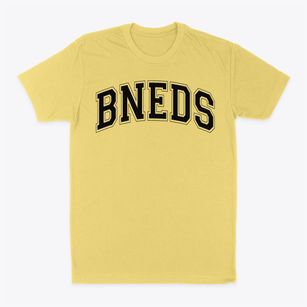 Bishop Noland Episcopal Day School Varsity Arch Classic Dad T-Shirt
