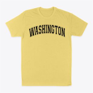 Washington Elementary School Varsity Arch Classic Dad T-Shirt