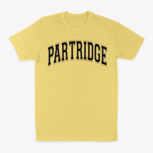 Partridge Elementary School Varsity Arch Classic Dad T-Shirt
