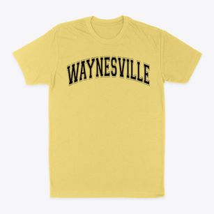 Waynesville Technical Academy Varsity Arch Classic Dad T-Shirt