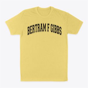 Bertram F Gibbs Primary School Varsity Arch Classic Dad T-Shirt