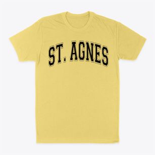 Saint Agnes Seminary School Varsity Arch Classic Dad T-Shirt