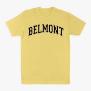 Ps 32 Belmont Varsity Arch Classic Dad T-Shirt
