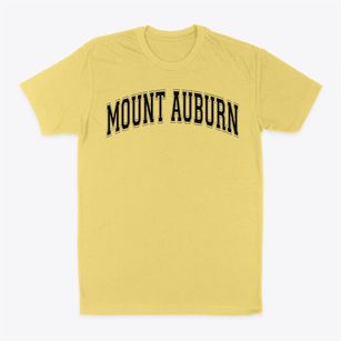 Mount Auburn Elementary School Varsity Arch Classic Dad T-Shirt