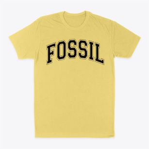 Fossil Elementary School Varsity Arch Classic Dad T-Shirt