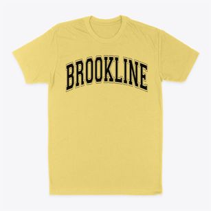 Brookline Elementary School Varsity Arch Classic Dad T-Shirt