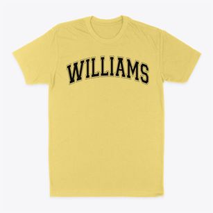 Williams Middle School Varsity Arch Classic Dad T-Shirt