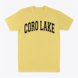Coro Lake Elementary School Varsity Arch Classic Dad T-Shirt