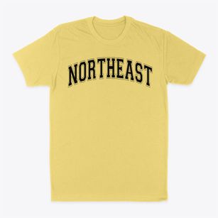 Northeast Elementary School Varsity Arch Classic Dad T-Shirt
