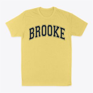 Brooke Elementary School Varsity Arch Classic Dad T-Shirt