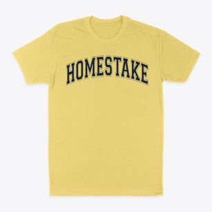 Homestake Elementary School Varsity Arch Classic Dad T-Shirt