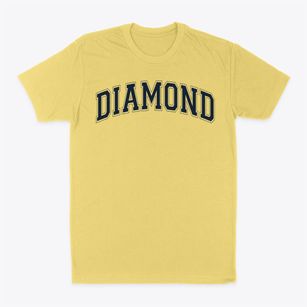 Diamond Elementary School Varsity Arch Classic Dad T-Shirt