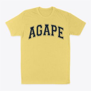 Agape Christian School Varsity Arch Classic Dad T-Shirt