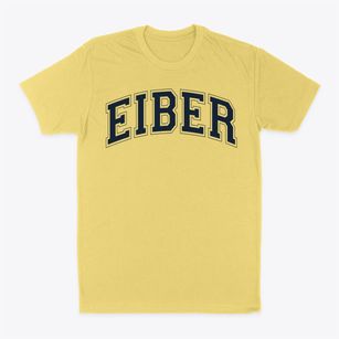 Eiber Elementary School Varsity Arch Classic Dad T-Shirt