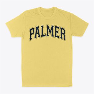 Palmer High School Varsity Arch Classic Dad T-Shirt
