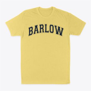 Joel Barlow High School Varsity Arch Classic Dad T-Shirt