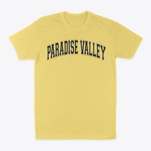 Aaec Paradise Valley Varsity Arch Classic Dad T-Shirt