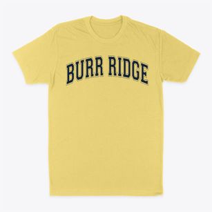 Burr Ridge Middle School Varsity Arch Classic Dad T-Shirt