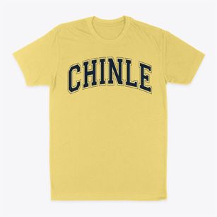 Chinle High School Varsity Arch Classic Dad T-Shirt