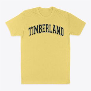 Timberland Charter Academy Varsity Arch Classic Dad T-Shirt