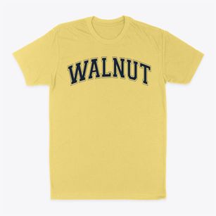 Walnut School Varsity Arch Classic Dad T-Shirt