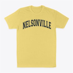 Nelsonville Christian Academy Varsity Arch Classic Dad T-Shirt