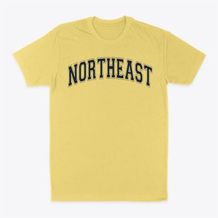 Northeast High School Varsity Arch Classic Dad T-Shirt