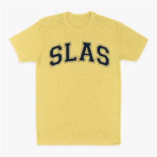 The School Of Liberal Arts And Science Varsity Arch Classic Dad T-Shirt