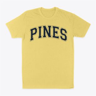 Pines Montessori School Varsity Arch Classic Dad T-Shirt