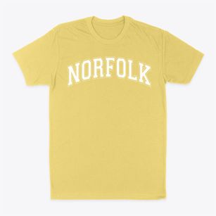 Norfolk Collegiate Varsity Arch Classic Dad T-Shirt