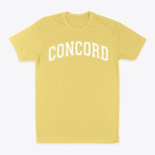 Concord Elementary School Varsity Arch Classic Dad T-Shirt