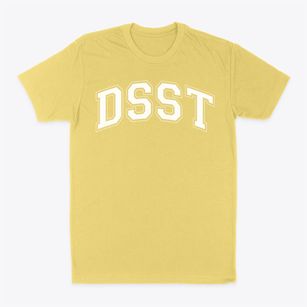 Denver School Of Science & Technology Varsity Arch Classic Dad T-Shirt