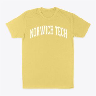 Norwich Technical High School Varsity Arch Classic Dad T-Shirt