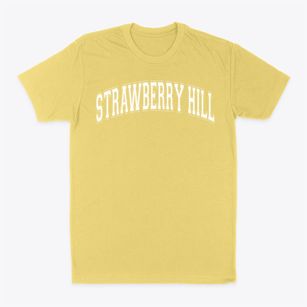 Strawberry Hill School Varsity Arch Classic Dad T-Shirt