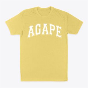 Agape Christian Academy Varsity Arch Classic Dad T-Shirt