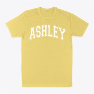 Ashley Elementary School Varsity Arch Classic Dad T-Shirt