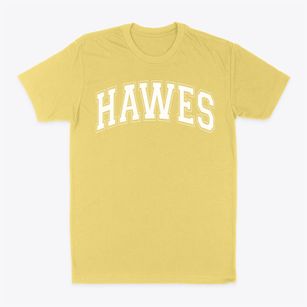 Hawes School Varsity Arch Classic Dad T-Shirt