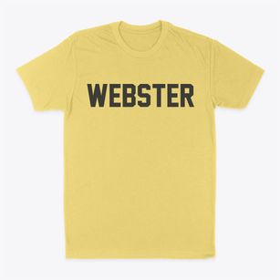 Webster New York Classic Block Classic Dad T-Shirt