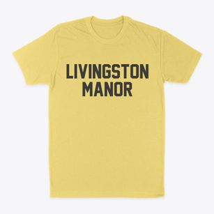 Livingston Manor New York Classic Block Classic Dad T-Shirt