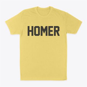 Homer Nebraska Classic Block Classic Dad T-Shirt