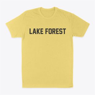Lake Forest Illinois Classic Block Classic Dad T-Shirt