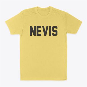 Nevis Minnesota Classic Block Classic Dad T-Shirt