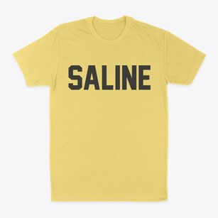 Saline Louisiana Classic Block Classic Dad T-Shirt