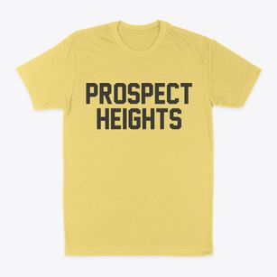 Prospect Heights Illinois Classic Block Classic Dad T-Shirt