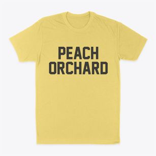 Peach Orchard Arkansas Classic Block Classic Dad T-Shirt