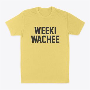 Weeki Wachee Florida Classic Block Classic Dad T-Shirt