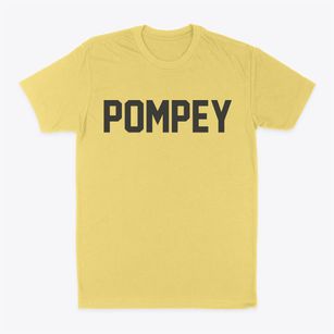 Pompey New York Classic Block Classic Dad T-Shirt