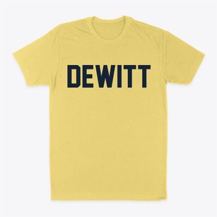 Dewitt Michigan Classic Block Classic Dad T-Shirt