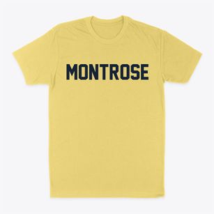 Montrose New York Classic Block Classic Dad T-Shirt
